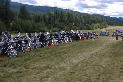 Long lines of motorcycles fill field of grass surrounded by trees.